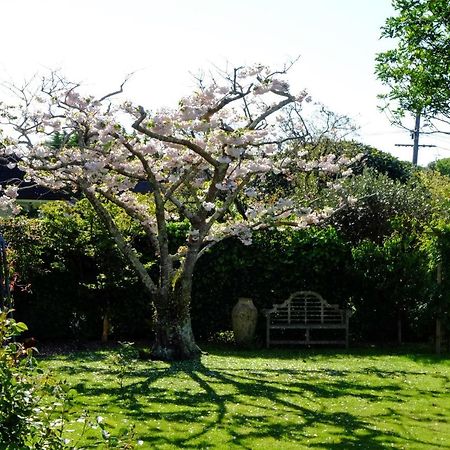 Appartement Garden Retreat à Otaki Extérieur photo